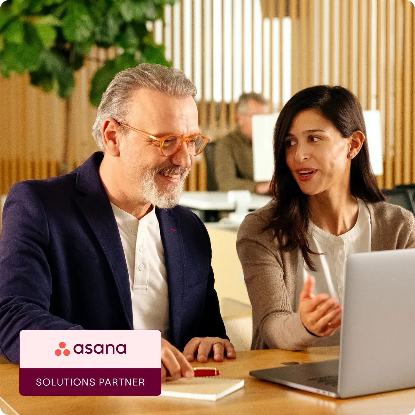 Asana solutions partnership program